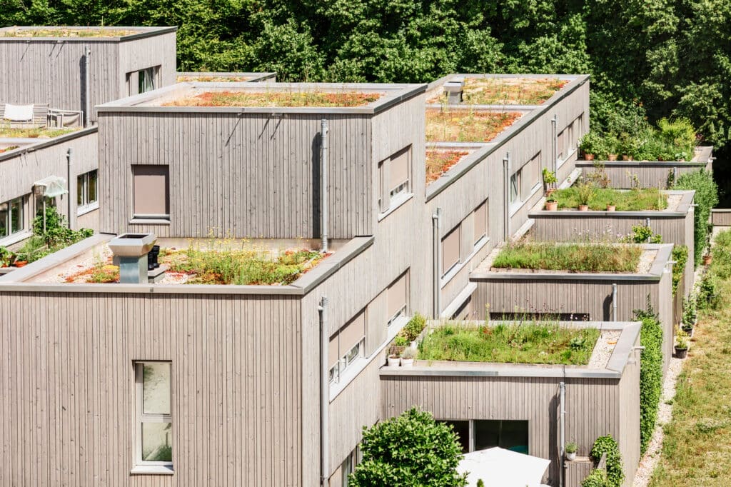 Toits végétalisés, façades bois: Architecture moderne éco-responsable Bâtiments modernes terrassés à façades bois clair, dotés de toits végétalisés luxuriants avec sédums et fleurs, entourés d'arbres.